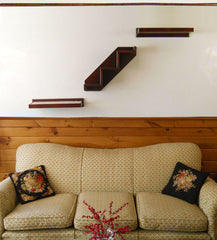 Wall Climbing Stairs &amp; Shelves