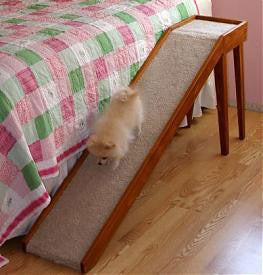 Photo of Tall Climber Platform Pet Ramp, 12" wide