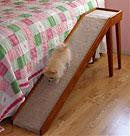 Photo of Tall Climber Platform Pet Ramp, 16