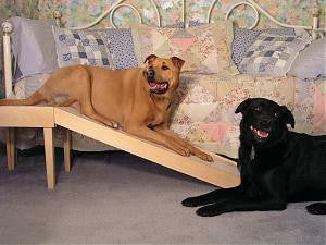Photo of Low Platform Dog Ramp