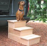 Cedar Steps