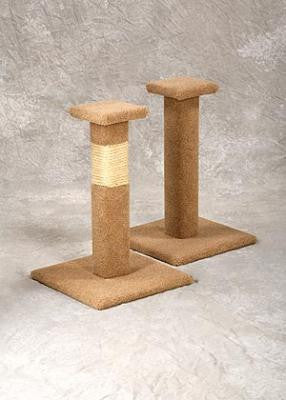 Photo of Pacific Capped Post