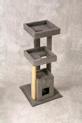 Photo of Pacific Super Sleeper/Cube