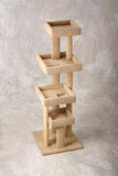 Photo of Pacific Tall Super Sleeper