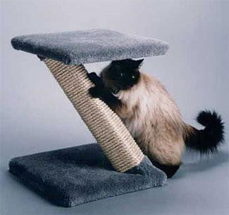 Photo of 'Z' Scratcher