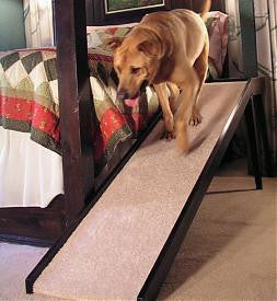 Photo of Tall Platform Dog Ramp, 12