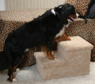 Photo of Big Double Pet Step